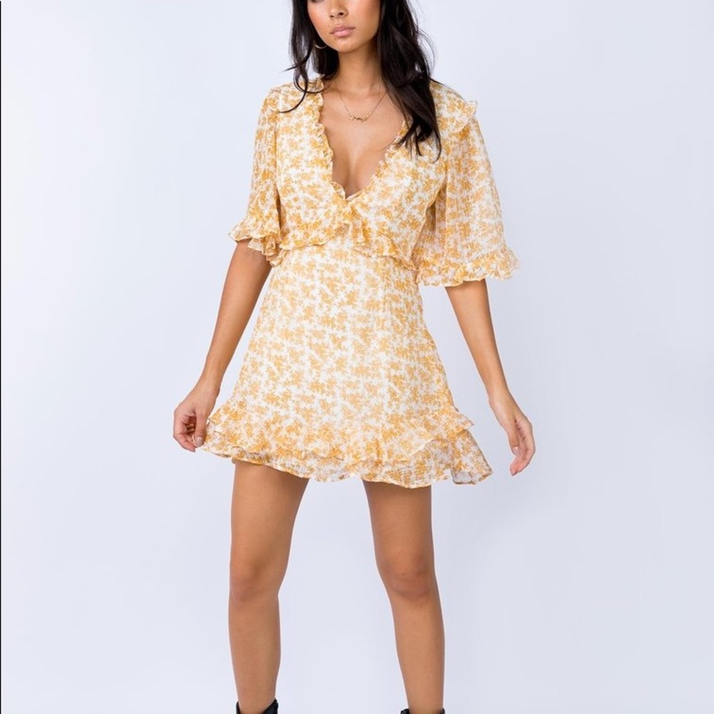 ✨make an offer✨ Princess Polly Appel Dress